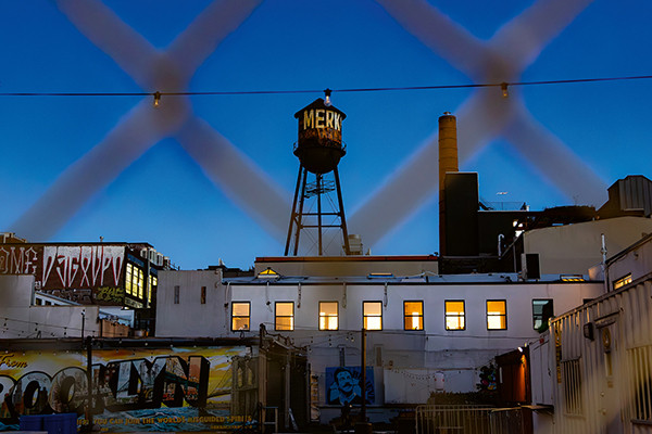 Pamela Thomas-Graham When Words Fail A Photographic Journey through New York City